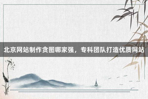 北京网站制作贪图哪家强，专科团队打造优质网站