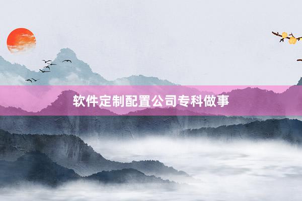 软件定制配置公司专科做事