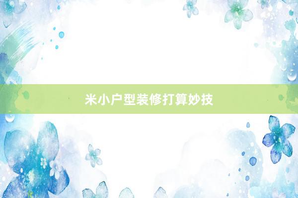米小户型装修打算妙技
